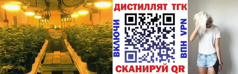 ТГК THC oil  ОМГ ОМГ ТОР  Белая Калитва 