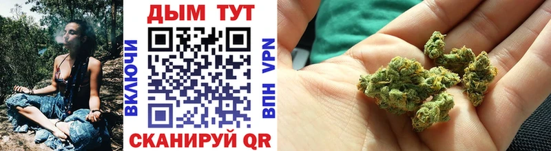 дарк нет Telegram  Белая Калитва  Конопля планчик 